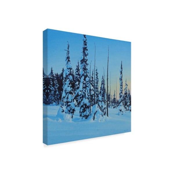 Ron Parker 'Snowy Forest' Canvas Art,18x18